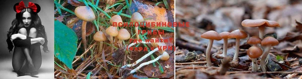 кокаин Армянск