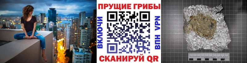 хочу   Новоульяновск  гидра как войти  Псилоцибиновые грибы мухоморы 